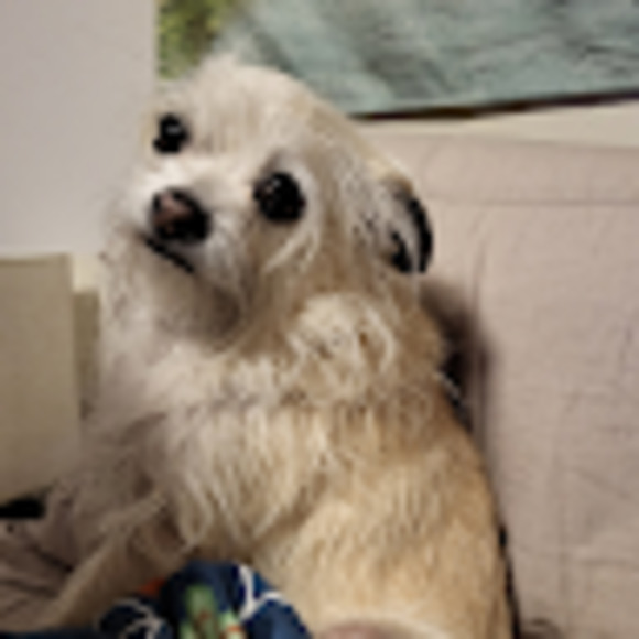 Meet your Posher, Blake - Picture 1 of 1